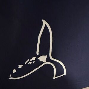 Lululemon Athletica Deep Blue Tee